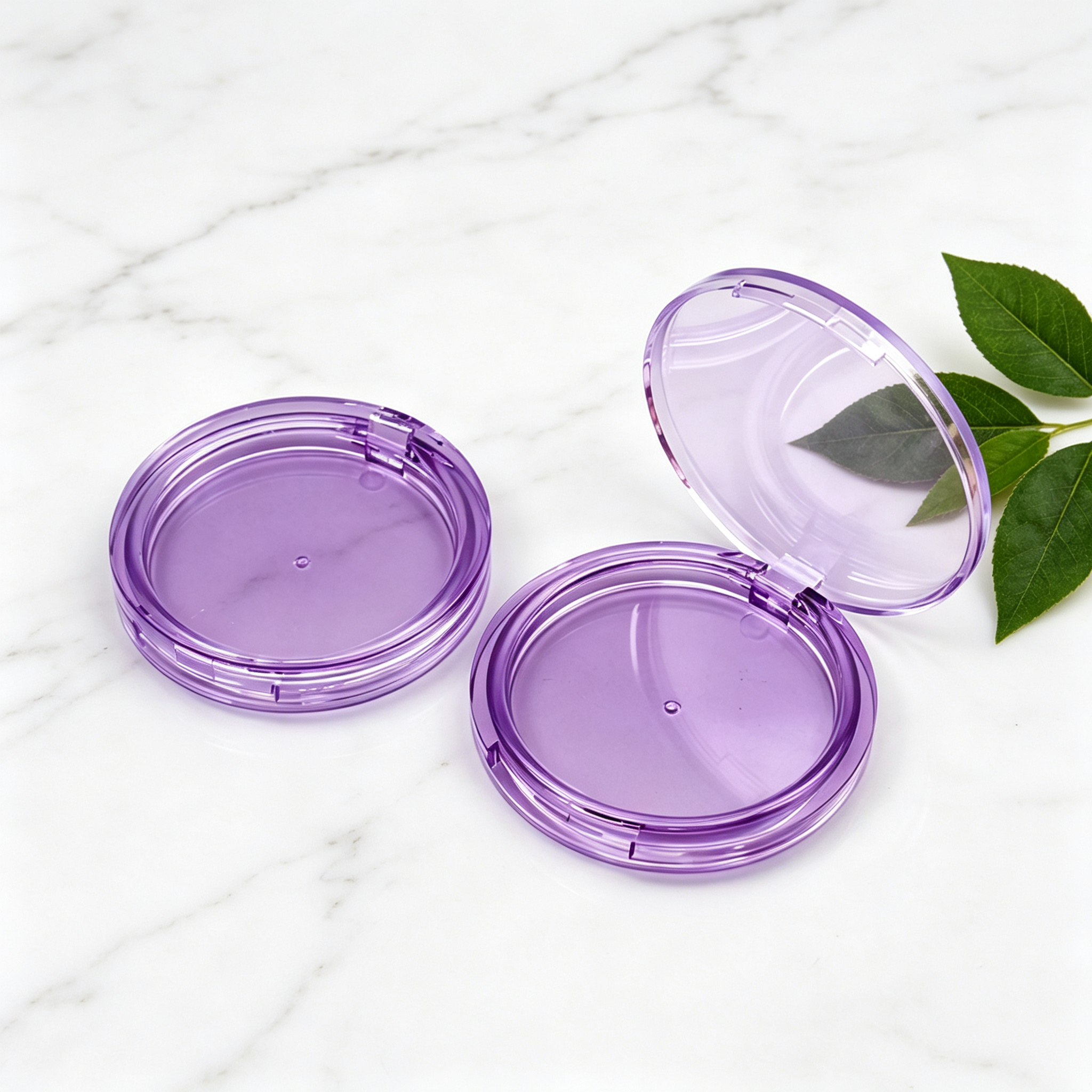 Powder Compact